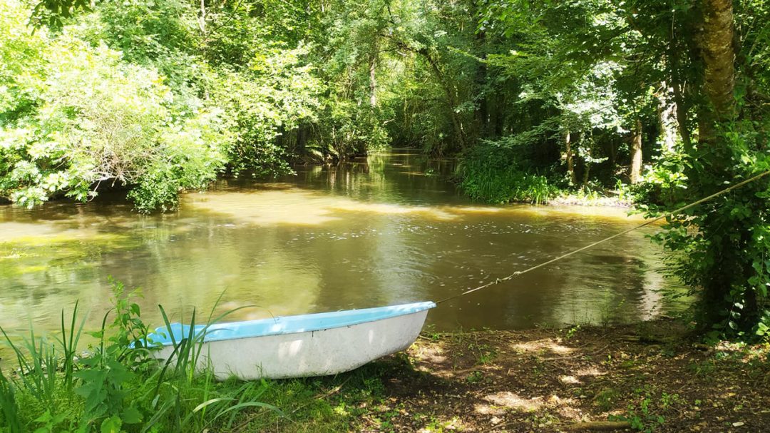 Vue d'une barque amarrée au bord du Clain, entouré de forêt verdoyante