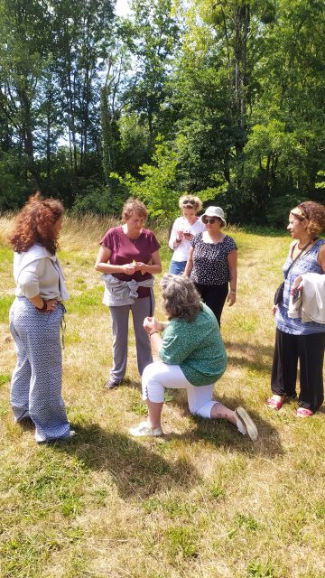 Séance de cueillette de plantes sauvages