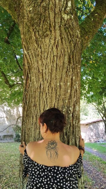 Reconnexion à un arbre