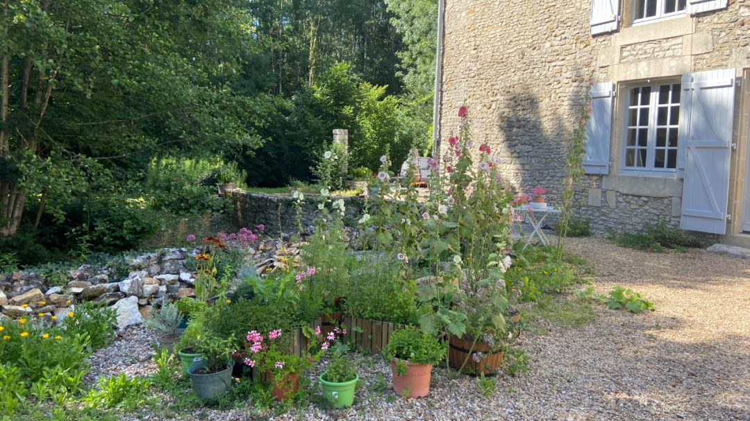 Vue de la cour du Moulin et des plantes présentes